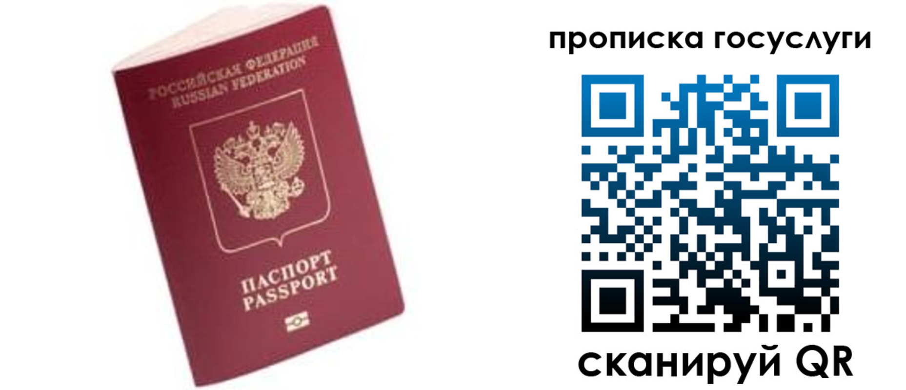 прописка в Судогде